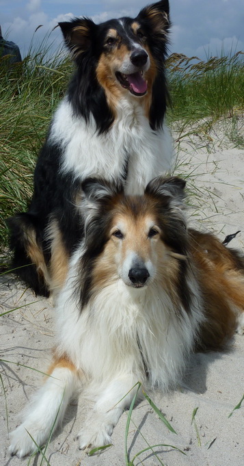 Barro und Jack Petersen Ostsee Ferienwohnung