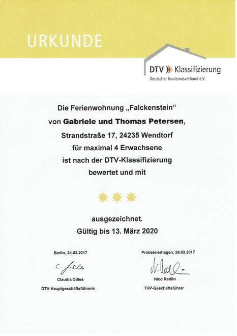 DTV Falckenstein